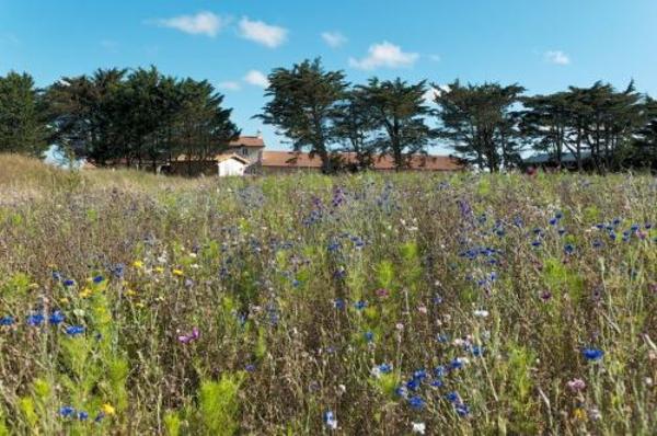 Propriété Équestre de 53ha