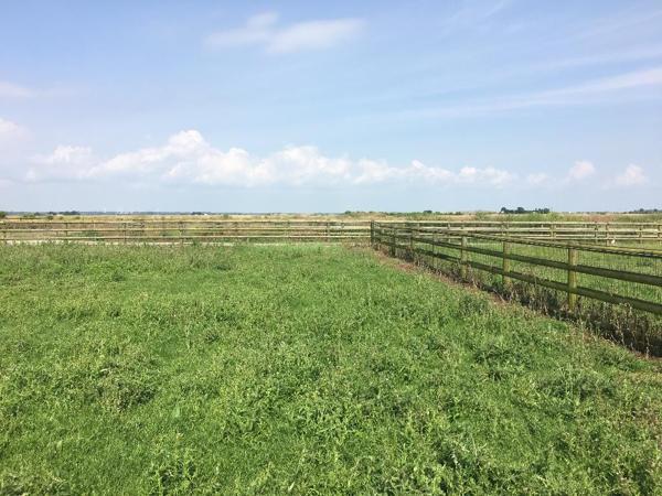 Propriété Équestre de 53ha