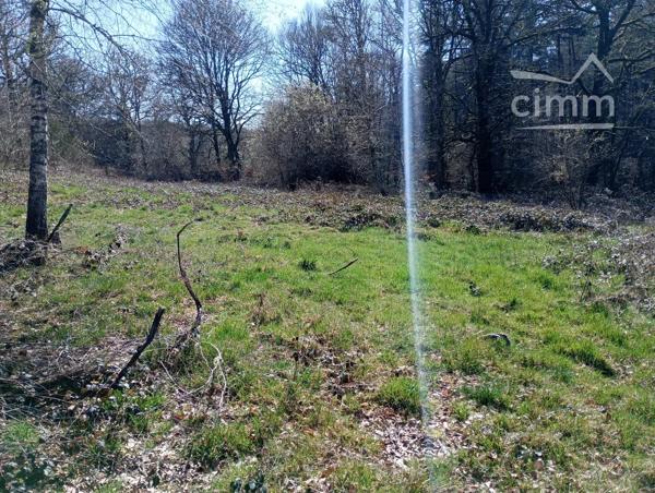 Terrain de loisir pas constructible de 1 300 m² arboré avec accès voiture très facile.