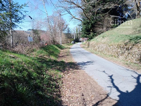 Terrain de loisir pas constructible de 1 300 m² arboré avec accès voiture très facile.
