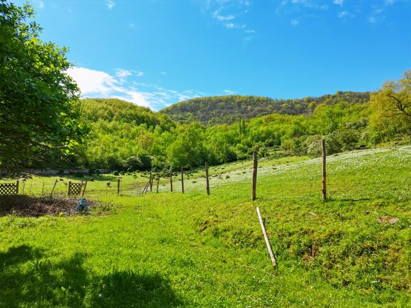 Sud-Aveyron - Domaine 6 ha – Maison de maître & activité touristique