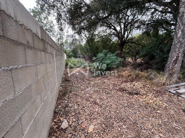 TERRAIN 1360 M² - PRUNELLI DI FIUMORBU