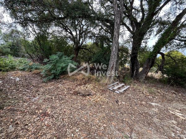TERRAIN 1360 M² - PRUNELLI DI FIUMORBU