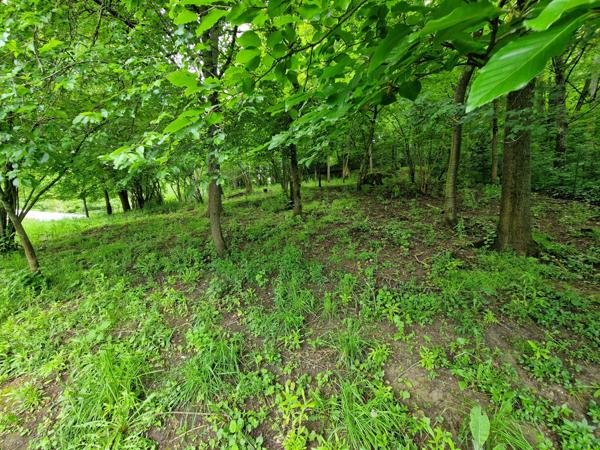 Crépy-en-Valois (60800) A 7 MN DE CREPY EN VALOIS ENSEMBLE DE DEUX MAISONS EN PIERRE AU TOTAL 255 M²