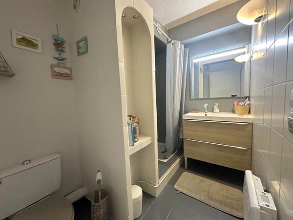 Appartement T4 DUPLEX TERRASSE, JARDIN, BALCON, VILLEURBANNE GRATTE-CIEL