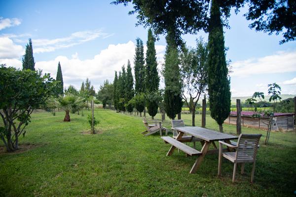 Domaine provençal dans la vallée de Cèze Sabran
