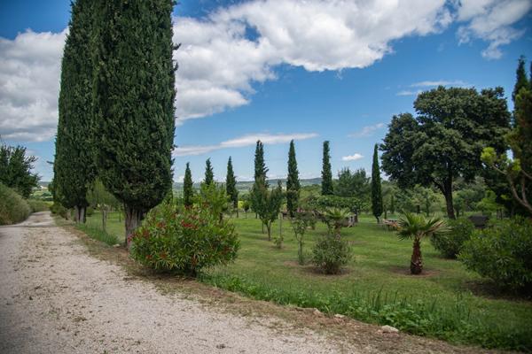 Domaine provençal dans la vallée de Cèze Sabran