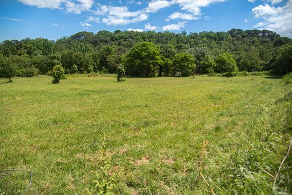 Domaine provençal dans la vallée de Cèze Sabran