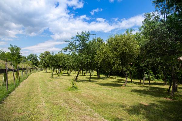 Domaine provençal dans la vallée de Cèze Sabran