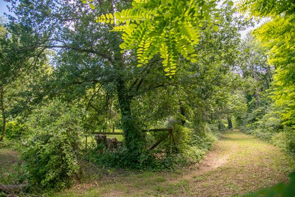 Domaine provençal dans la vallée de Cèze Sabran