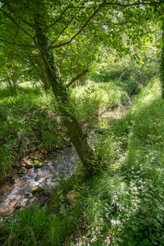 Domaine provençal dans la vallée de Cèze Sabran