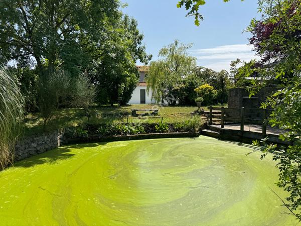 Maison familiale à vendre à Saint Géréon - 3 chambres, grand terran, mare.