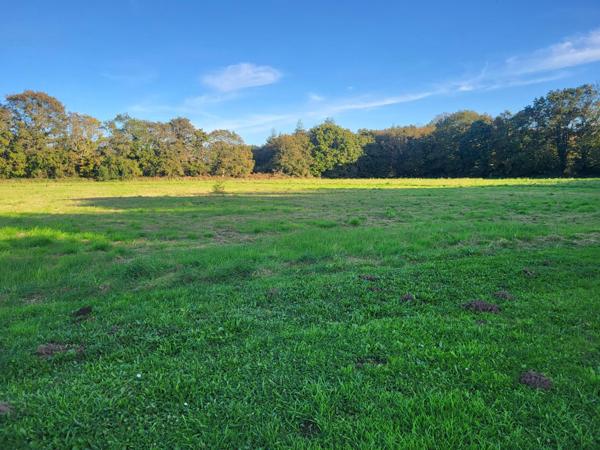 Opportunité - Maison de campagne 84 m² avec dépendance - terrain 4891 m²