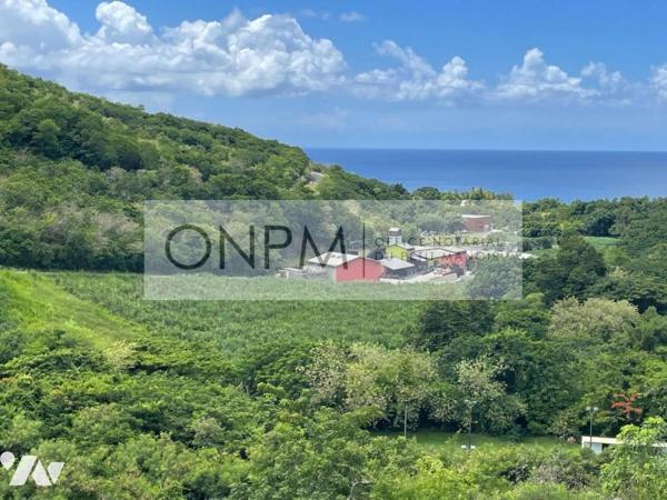 Appartement T3 le CARBET Vendu Loué