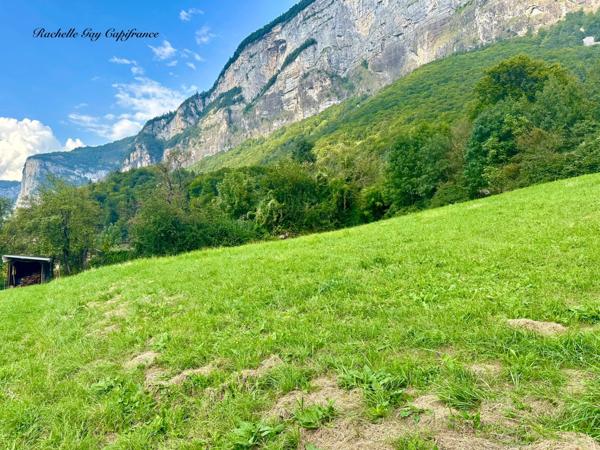 Terrain à vendre MAGLAND (74)