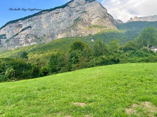 Terrain à vendre MAGLAND (74)
