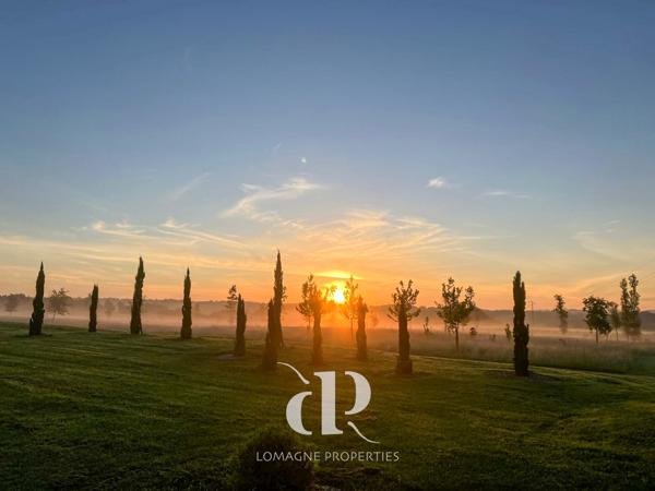 Condom (32100) Le Paradis dans les Vignes