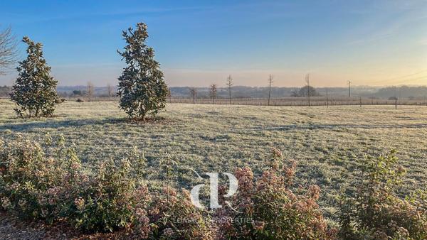 Condom (32100) Le Paradis dans les Vignes