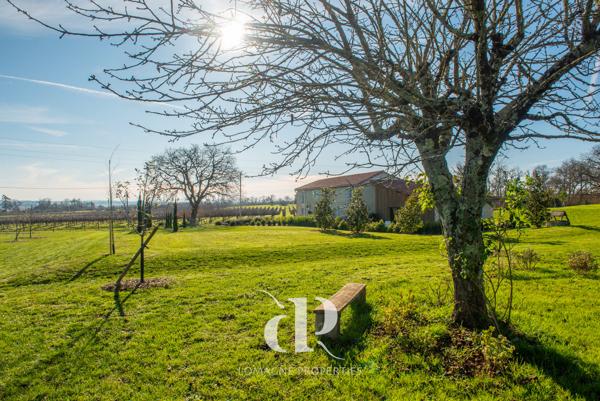 Condom (32100) Le Paradis dans les Vignes