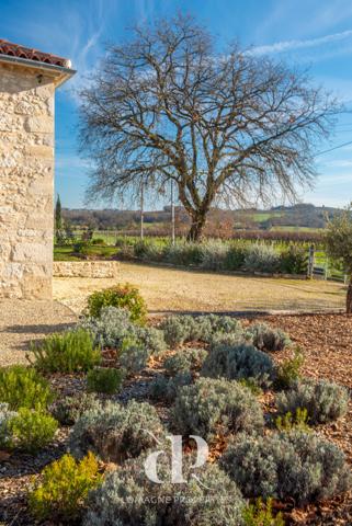 Condom (32100) Le Paradis dans les Vignes