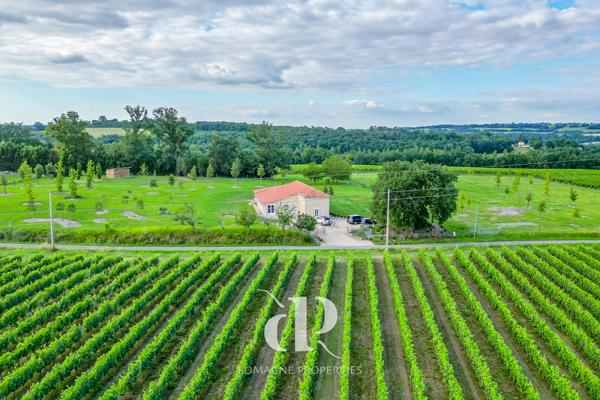 Condom (32100) Le Paradis dans les Vignes