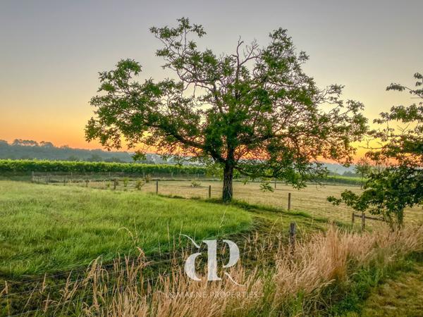 Condom (32100) Le Paradis dans les Vignes