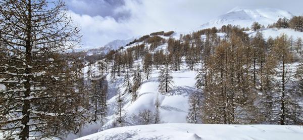 Appartement de 31 m²