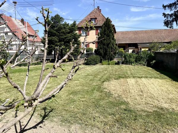 Vente                                                      Maison
                        
                     6 pièces                      126 m2                     à Ostheim