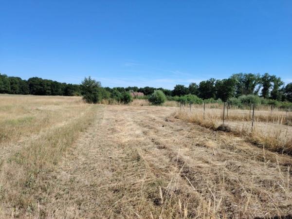Terrain à vendre de 1 014 m²