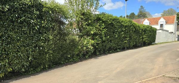 Bruay-la-Buissière (62700) SUPERBE MAISON A LABUISSIERE