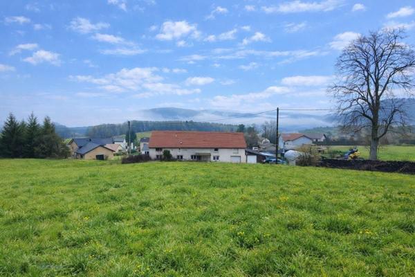 À vendre Terrain - Moyenmoutier 88420