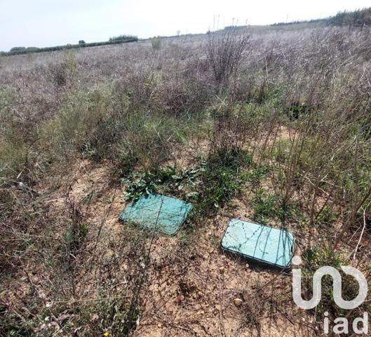 Terrain à vendre 6 635 m² Générac