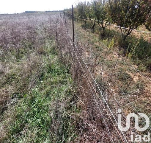 Terrain à vendre 6 635 m² Générac