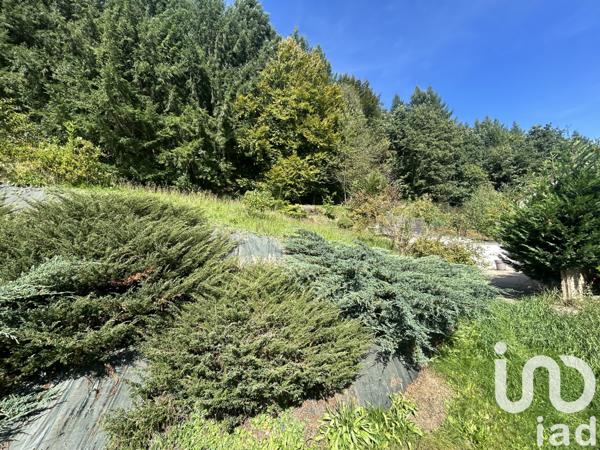 Maison à vendre 7 pièces 154 m² Brouvelieures