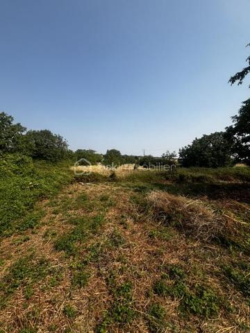 À seulement 4 km de Ruffec (16700) et environ 30 minutes d’Angoulême, découvrez cette maison offrant un beau potentiel, idéale pour un projet familial, une résidence principale ou un projet de rénovation.

Implantée sur un vaste terrain d’environ 7 900 m², cette propriété bénéficie d’un environnement agréable et d’une situation géographique recherchée, tout en restant proche des commodités.

 🏡La maison – environ 89 m² habitables

La maison se compose de :

Une cuisine
Une agréable pièce de vie d’environ 29 m² avec cheminée
3 chambres d’environ 10, 12 et 13 m²
Une salle de bains
Un WC indépendant
Une terrasse semi-couverte, idéale pour profiter des beaux jours et de la vue sur l’extérieur
Une cave voûtée
Un sous-sol d’environ 40 m², offrant un bel espace de stockage

Un grenier aménageable vient compléter l’ensemble et permet d’envisager la création de pièces supplémentaires selon vos besoins et vos envies.

 🧱Des dépendances aux volumes exceptionnels

La propriété dispose également d'une magnifique grande grange en pierre d’environ 140 m², offrant de nombreuses possibilités : garage, atelier, stockage, projet professionnel ou transformation en habitation sous réserve des autorisations nécessaires.

Un carport d’environ 80 m² complète les dépendances.

Vous profiterez également d’un puits, un véritable atout pour la propriété.

⚒️ Les + techniques
Pompe à chaleur installée en 2017
DPE : C
GES : A
Toiture et charpente en bon état
Grenier aménageable
Nombreuses dépendances
Cave voûtée
Puits
Très beau potentiel d’évolution
⚠️ Travaux à prévoir

La maison nécessite des travaux de rénovation afin de révéler pleinement son potentiel.

L’assainissement individuel est actuellement non conforme et devra faire l’objet d’une mise aux normes.

🌿 Un terrain de près de 7 900 m²

La propriété bénéficie d’un grand terrain d’environ 7 900 m², avec notamment une partie située en face de la maison, offrant de nombreuses possibilités selon votre projet : jardin, animaux, espace de loisirs, potager ou simplement profiter d’un vaste environnement extérieur.

➡️ Une propriété pleine de possibilités

Maison, grands volumes, grange en pierre, terrain généreux, proximité de Ruffec et d’Angoulême : cette propriété possède de nombreux atouts pour ceux qui recherchent un bien à personnaliser et à faire évoluer selon leurs envies.

Un bien rare par son potentiel, ses dépendances et la superficie de son terrain.

À découvrir sans tarder !