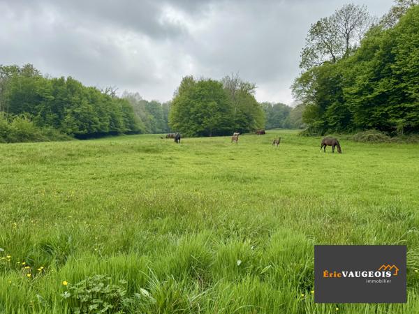 Coulommiers (77120) Maison plain-pied sur sous-sol. Terrain 1000m² Rebais