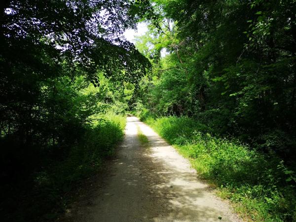 Vente Propriété 10 pièces 1188 m2 à Sainte-Colombe-sur-l'Hers