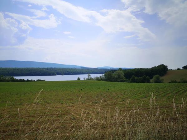 Vente Propriété 10 pièces 1188 m2 à Sainte-Colombe-sur-l'Hers