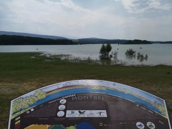 Vente Propriété 10 pièces 1188 m2 à Sainte-Colombe-sur-l'Hers