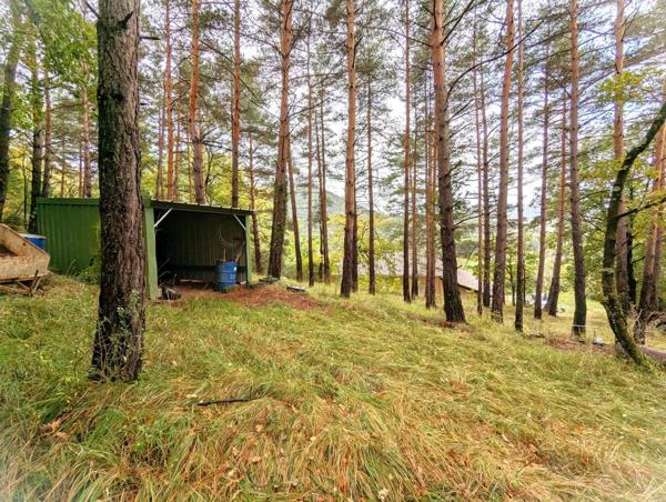 12230 - NANT - MAISON PLAIN PIED - 120M2 - GARAGE - TERRAIN