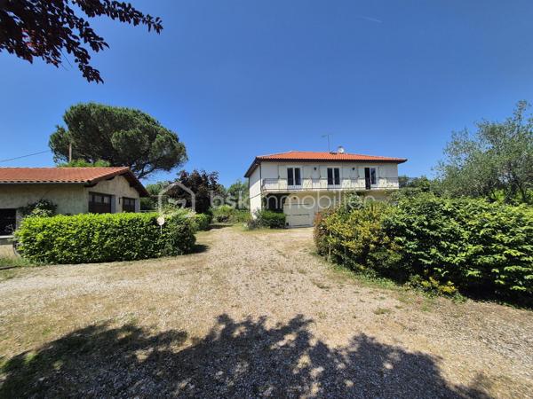 De retour à la vente cette maison vous offrira l'espace recherché de la campagne sans renoncer à la proximité des commodités et des accès routiers ? Découvrez cette propriété unique offrant un potentiel  pour un projet familial, professionnel ou locatif.
Située à l’entrée de Saint-Sulpice-la-Pointe, cette propriété est à seulement 2 minutes, vous plaçant aux portes de Toulouse en 20 minutes et d'Albi en 25 minutes.
La maison principale vous accueille dans un cadre chaleureux :
Un salon/séjour spacieux et traversant, ouvert sur les extérieurs.
Côté nuit : 3 chambres confortables avec placards.


🔑 Appartement T2 Indépendant (46 m²)
Cet appartement composé d'une chambre, salle de bain et cuisine offre une totale liberté de projet :
Revenu locatif : Forte demande sur le secteur.
Projet familial : Idéal pour loger un parent ou un adolescent en quête d'autonomie.
Professionnel : Un espace parfait pour un artisan ou une profession libérale souhaitant dissocier domicile et travail.

Espace Piscine : Un coin baignade sécurisé pour vos étés en famille.
🚜 Un Terrain Agricole de 8 000 m²
Ce vaste terrain plat et fertile est idéal pour :
Accueillir des animaux (chevaux, ânes, etc.).
Développer une activité de maraîchage ou un verger familial.

🛠 Dépendances & Équipements
Grand Garage : Un volume généreux pour stationner plusieurs véhicules, camping-car, ou créer un atelier de bricolage.
Dépendance supplémentaire : Stockage d'outillage ou aménagement selon vos besoins.

Points Forts : Plain-pied intégral, double habitation, immense terrain agricole, accès autoroute ultra-rapide.