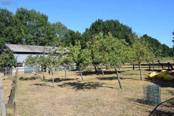 Propriete à vendre à Ambrières-les-Vallées en Mayenne (53300), ref : 53075/37