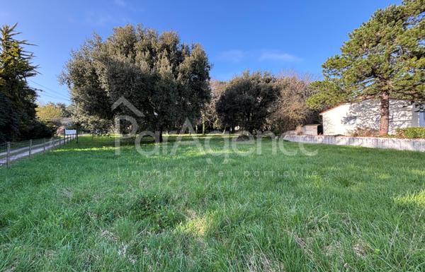 Terrain constructible Beau potentiel Meschers-sur-Girond