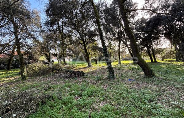 Terrain constructible Beau potentiel Meschers-sur-Girond