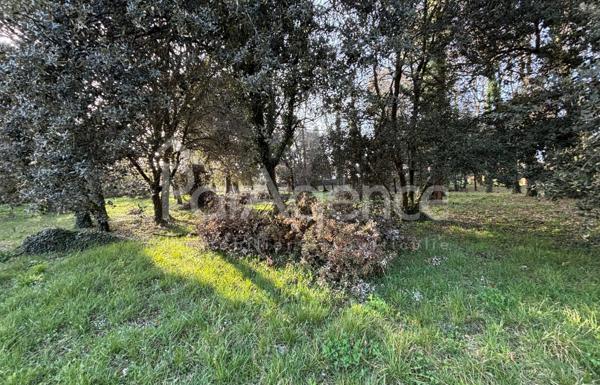 Terrain constructible Beau potentiel Meschers-sur-Girond