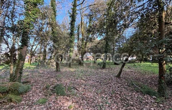Terrain constructible Beau potentiel Meschers-sur-Girond