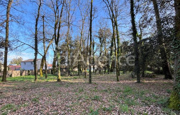 Terrain constructible Beau potentiel Meschers-sur-Girond