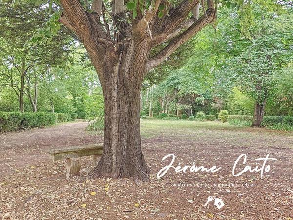 Demeure de prestige Nimes 20 pièce(s) 858 m2