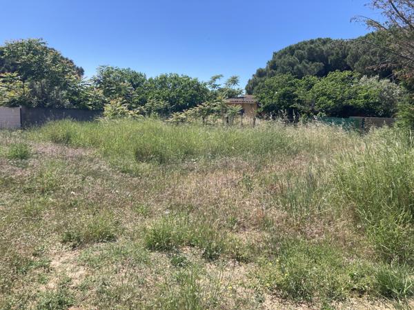 Terrain
        
        - 764 m² 317 600 € *