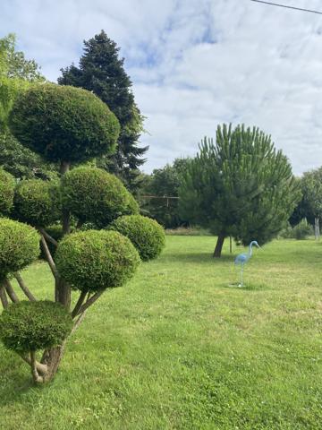 Challans (85300) CHALLANS - VIAGER OCCUPE D'UNE MAISON 2 CHAMBRES AVEC STUDIO